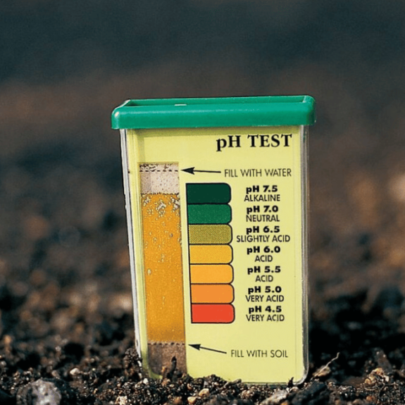 Çimlerde Toprağın pH Değeri Nasıl Düzenlenir ?
